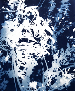 Summer Branches / 01 Fotograma en Cianotipia sobre papel libre de ácido / 2020 / 49 x 59 cm / Valor 800 USD
