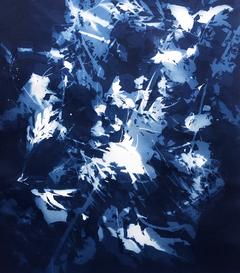 Summer Branches 03 / Fotograma en Cianotipia sobre papel libre de ácido / 2020 / 48,5 x 57 cm / Valor 800 USD