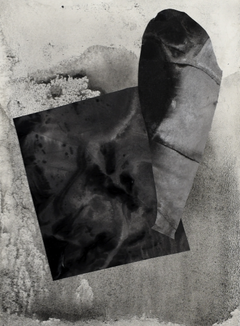 Velvet / Collage usando monocopias en tinta china sobre papel de arroz / 2019 28 x 20 cm / Valor 150 USD