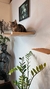 Cama hamaca Colgante Para Gatos para Pared - tienda online