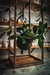 Soporte de hierro con kokedama