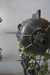Escultura Teledirigible en internet
