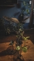 Escultura Mariposa con manivela - comprar online