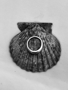 Anillo Trevi - Plata 925