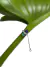 Piercing Colors em Tanzanita, Esmeralda e Diamantes - loja online