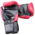 GUANTE DE BOXEO 6OZ - comprar online