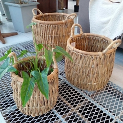 Canastos