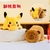 Reversible capibara pikachu