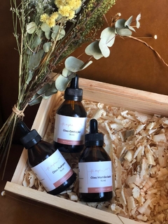 Kit Maternidade No Tox + Fe Sophia - loja online