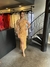 Vestido midi texturizado fivela dourada - comprar online