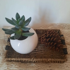 BANDEJA SEAGRASS "ADA" - comprar online
