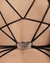 Body Huber en internet