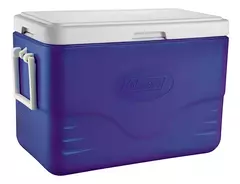 CONSERVADORA AZUL 36 LATAS/28 QT - comprar online
