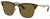 RAY BAN BLAZE CLUBMASTER 3576 - comprar online