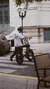 Bertha Street 500w | NEGRA en internet