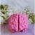Lapicero/Maceta Cerebro