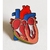 Pin Exclusivo Corazón Anatómico
