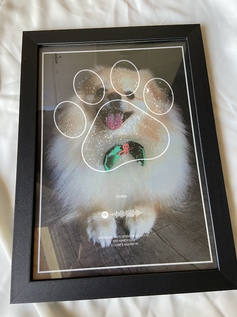 quadro pet com foto e spotify code