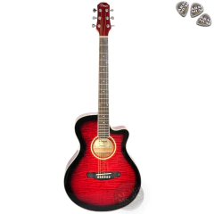 Guitarra Acustica Parquer Gac109mcbl Funda Garantia Pua Cd en internet