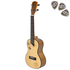 Ukelele concierto