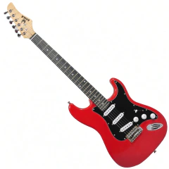 Guitarra Electrica Stratocaster Eagle Funda Garantia Pua