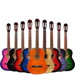 Guitarra electro criolla amplificador