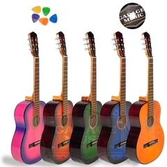 Guitarra electro criolla amplificador