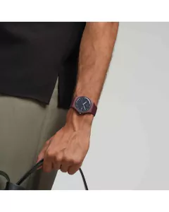 Imagen de Reloj Swatch Essentials Burgundy Berry SO29R707