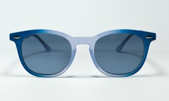 4008 C3 POLARIZADO - comprar online