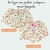 Bloomer pronta entrega 3 meses - loja online