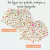 Bloomer pronta entrega 3 meses - loja online