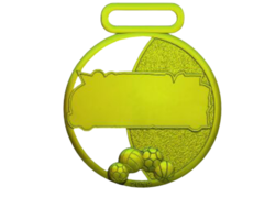 Medalha Maringá