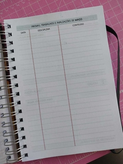 Agenda Escolar - Harry Potter na internet