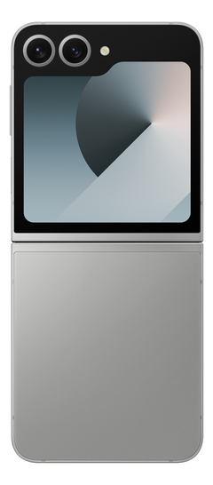 Samsung Galaxy Z Flip 6 Gris en internet