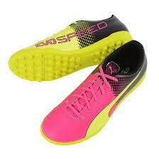 Imagen de tenis Evospeed