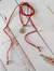 COLLAR CHOKER CORDÓN | COLORES - tienda online