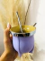 MATE LALO MATIC en internet
