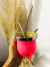 MATE LALO MATIC en internet
