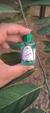 Essência OM - Lavanda - comprar online