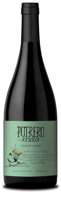 POTRERO PINOT NOIR