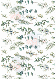 LÁMINA SEDA BOTANICA002
