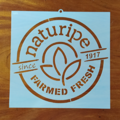 POSITIVO STENCIL GD25 30X30 CM