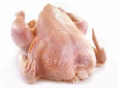 Pollo fresco faenado