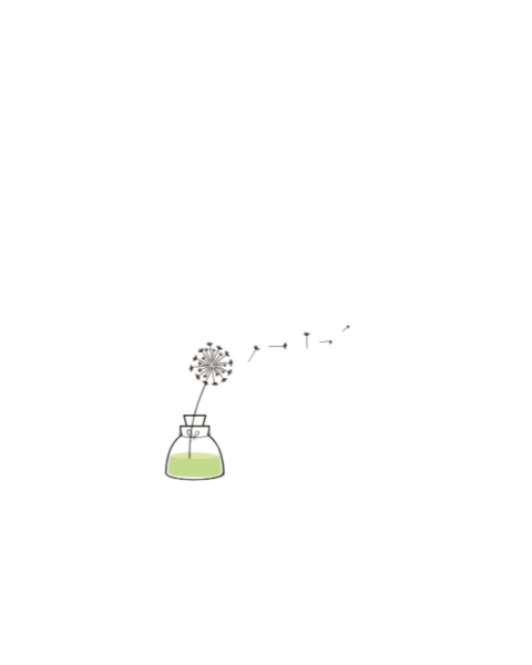 Perfume d’Casa