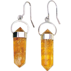 Citrine Twn Point Earrings - buy online