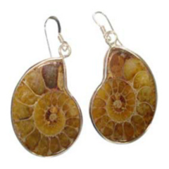 Ammonite Rough Earrings