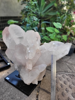 Pink Lemurian Cluster