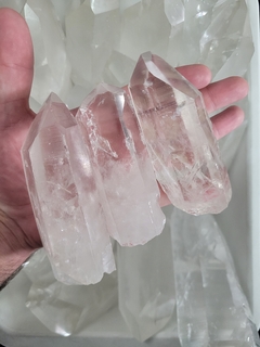 Clear Quartz Lemurians