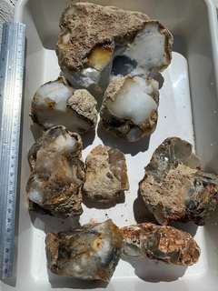 Dendrite Chalcedony
