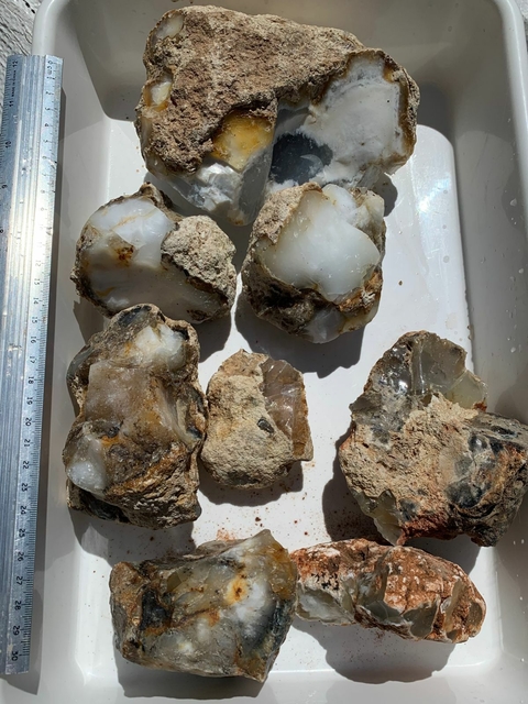 Dendrite Chalcedony